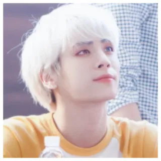 💚 pessoa, retrato, celebridade, jovem adulto, masculino, kpop, cantor whatsapp sticker