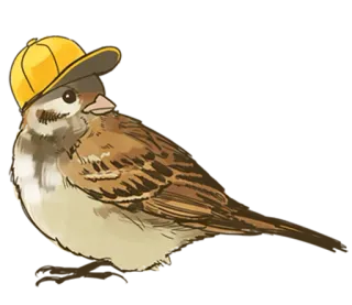 😎 птица, воробей, желтая шляпа, животное, милый, мультфильм whatsapp sticker