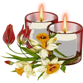 🌹 свеча, цветы, тюльпан, нарцисс, букет, цветочная композиция telegram sticker