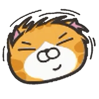 🐱