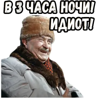 😆 В 3 ЧАСА НОЧИ!
ИДИОТ! russian, idiot, slang, man, fur hat telegram sticker