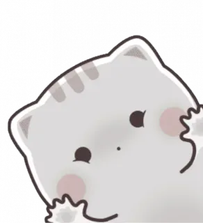 🍼 chat, mignon, animal, autocollant telegram sticker
