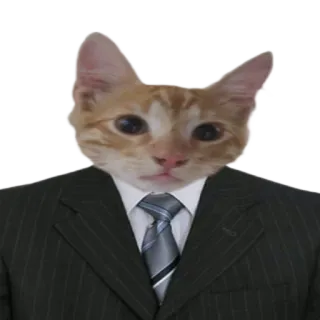 👨‍⚖️ 고양이, 정장, 동물, 웃긴, 밈, 주황색, 사업가, 애완동물 telegram sticker