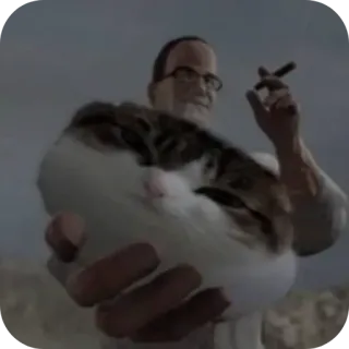 ✋ uomo, gatto, occhiali, sigaro, che tiene, umano, animale telegram sticker