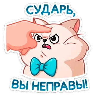 😡 СУДАРЬ, ВЫ НЕПРАВЫ!! кот, несогласие, смешно, спор, мем, милый, оскорбление telegram sticker