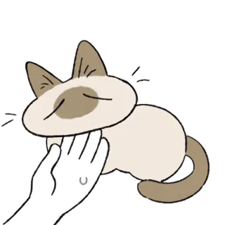 🐱 cat, pet, animal, siamese, hand, cute, domestic telegram sticker