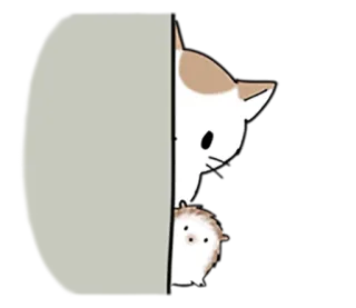 👀 gatto, carino, sbirciare, animale, nascosto telegram sticker