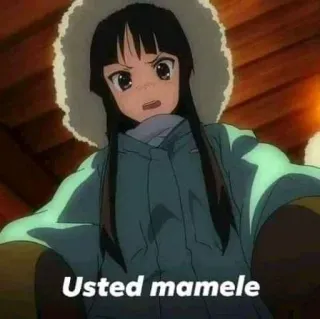 😳 Usted mamele anime, girl, insult, meme, funny telegram sticker