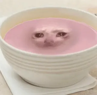 😩 猫, スープ, ピンク, ボウル, 面白い, ミーム telegram sticker
