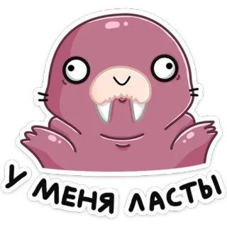 🐾 У МЕНЯ ЛАСТЫ morse, animal, dessin animé, mignon, drôle, autocollant, mammifère telegram sticker