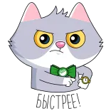 ⏳ cat telegram sticker