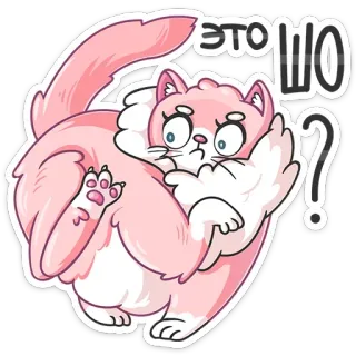 😕 ЭТО ШО? 猫, 贴纸, 粉色, 卡通, 问题, 搞笑 telegram sticker