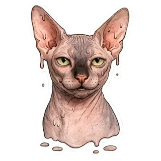 🫠 Sphynx cat telegram sticker