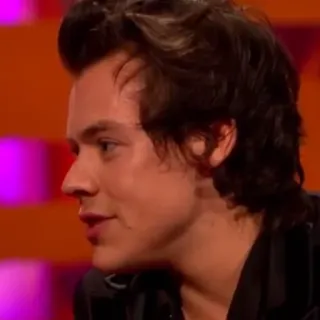 🌿 Harry Styles harry styles, chanteur, célébrité, pop star, one direction telegram sticker