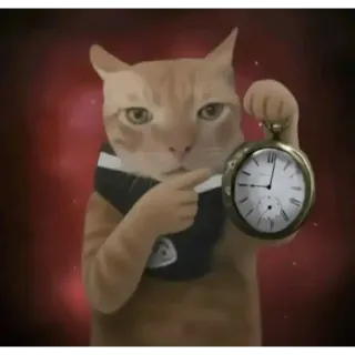 😊 cat, ginger cat, clock, pocket watch, time, waiting, feline, anthropomorphic cat telegram sticker