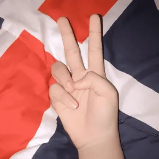 ✌ Hand, Friedenszeichen, Finger, Geste, Symbol whatsapp sticker