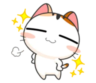 😌 cat, sticker, cute, animal, sparkle, emoji, animated telegram sticker