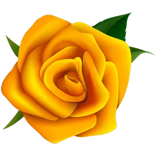 🌺 цветок, желтая роза, роза, цветочный, растение, цветение telegram sticker