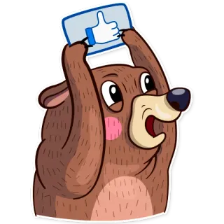 👍 bear, thumbs up, like, cartoon, animal, positive, approval whatsapp sticker