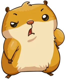 😕 仓鼠, 动物, 可爱, 卡通, 啮齿动物 whatsapp sticker