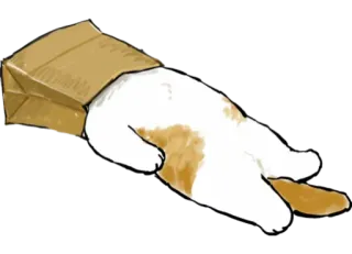 📦 cat, paper bag, exhausted, funny, sleepy, animal telegram sticker