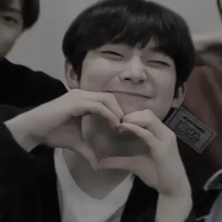 🍍 coeur mains, kpop, mignon, idole, autocollant fan telegram sticker