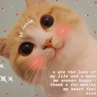 ❤️ hi luvie
u are the love of
my life and u make
me sososo happy!!
thank u for making
my heart feel
nice chat, mignon, amour, joyeux, animal de compagnie, animal telegram sticker