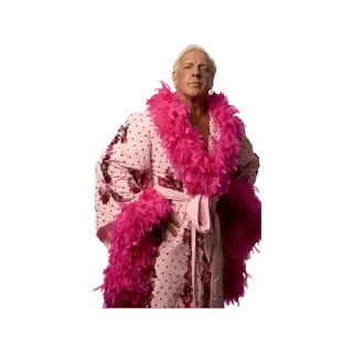 😉 Ric Flair Catch, Catcheur, Rose, Robe, Ric Flair, Catcheur Pro telegram sticker