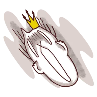 🙀 vegetable, chicory, crown, food, drawing whatsapp sticker