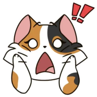 😧 кот, удивлённый, восклицание, стикер, животное, милый, мультфильм telegram sticker