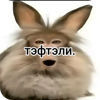 🍗 тэфтэли. 動物, ウサギ, ミーム, 面白い, 生き物 telegram sticker