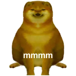 🤨 doge mmmm cane, meme, Cheems, carino telegram sticker