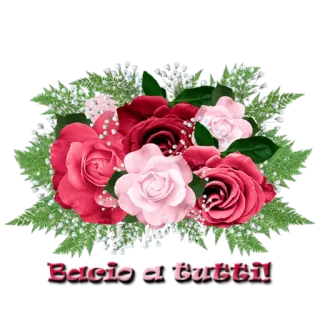 🙋 Bacio a tutti! цветы, розы, цветочный, букет, привет, итальянский, поцелуй telegram sticker