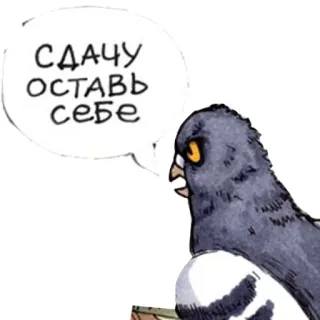 🖕 СДАЧУ оставь себе pigeon, oiseau, argent, phrase whatsapp sticker
