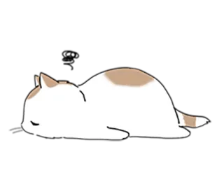 😣 gatto, assonnato, carino, pigro, animale telegram sticker