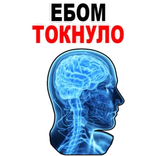 😉 ЕБОМ ТОКНУЛО brain, head, shocked, Russian, offensive telegram sticker