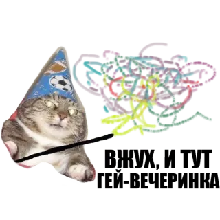 ✨ kat, tovenaar, voetbal, hoed, magie, dier telegram sticker