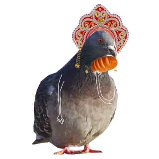 🐤 비둘기, 새, 동물, 왕관, 웃긴, 귀여운 telegram sticker
