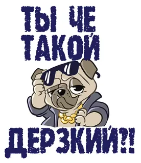 😡 ТЫ ЧЕ ТАКОЙ ДЕРЗКИЙ?! perro, carlino, gafas de sol, actitud, cadena de oro, dibujos animados telegram sticker