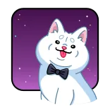 😈 cat, moon, bowtie, cute, animal, night telegram sticker