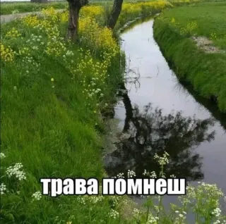 Больше стиков тут: @stikery4 whatsapp stickers