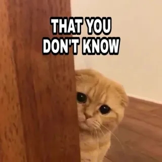 🍁 THAT YOU DON'T KNOW Katze, verstecken, süß, Haustier, Tier, Text telegram sticker