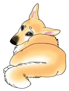 🍑 anjing, corgi, hewan, peliharaan, imut, ilustrasi telegram sticker