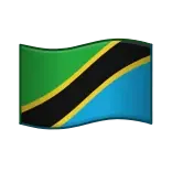 🇹🇿