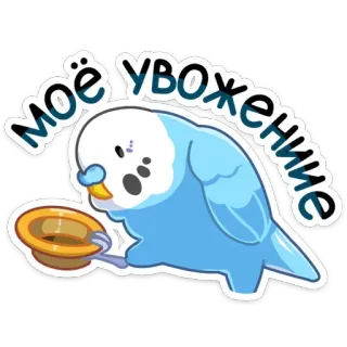 👍 моё уважение pájaro, periquito, sombrero, respeto, lindo, saludo whatsapp sticker