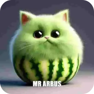 🍉 MR ARBUS แมว, แตงโม, น่ารัก, สัตว์, คาวาอิ, ตลก, สัตว์เลี้ยง whatsapp sticker