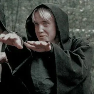 🌟 Draco Malfoy Harry Potter Drago Malefoy, Harry Potter, sorcier, magie, robe, Serpentard whatsapp sticker