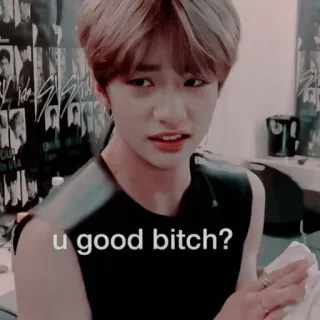 🍫 u good bitch? Meme, Pessoa, Expressão, Insulto whatsapp sticker