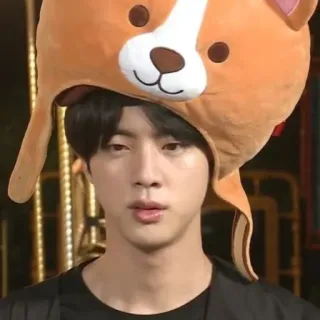 🐹 Jin K-Pop, BTS, Koreanischer Pop, Idol, Entertainer, Hunde Hut telegram sticker
