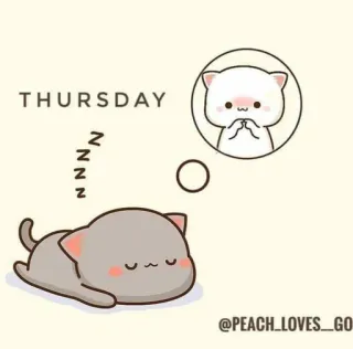 🤔 THURSDAY cat, sleepy, cute, kawaii, animal, peach, lazy, thinking whatsapp sticker